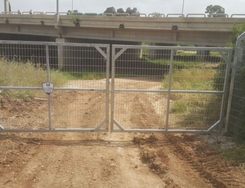 שער דו-כנפי